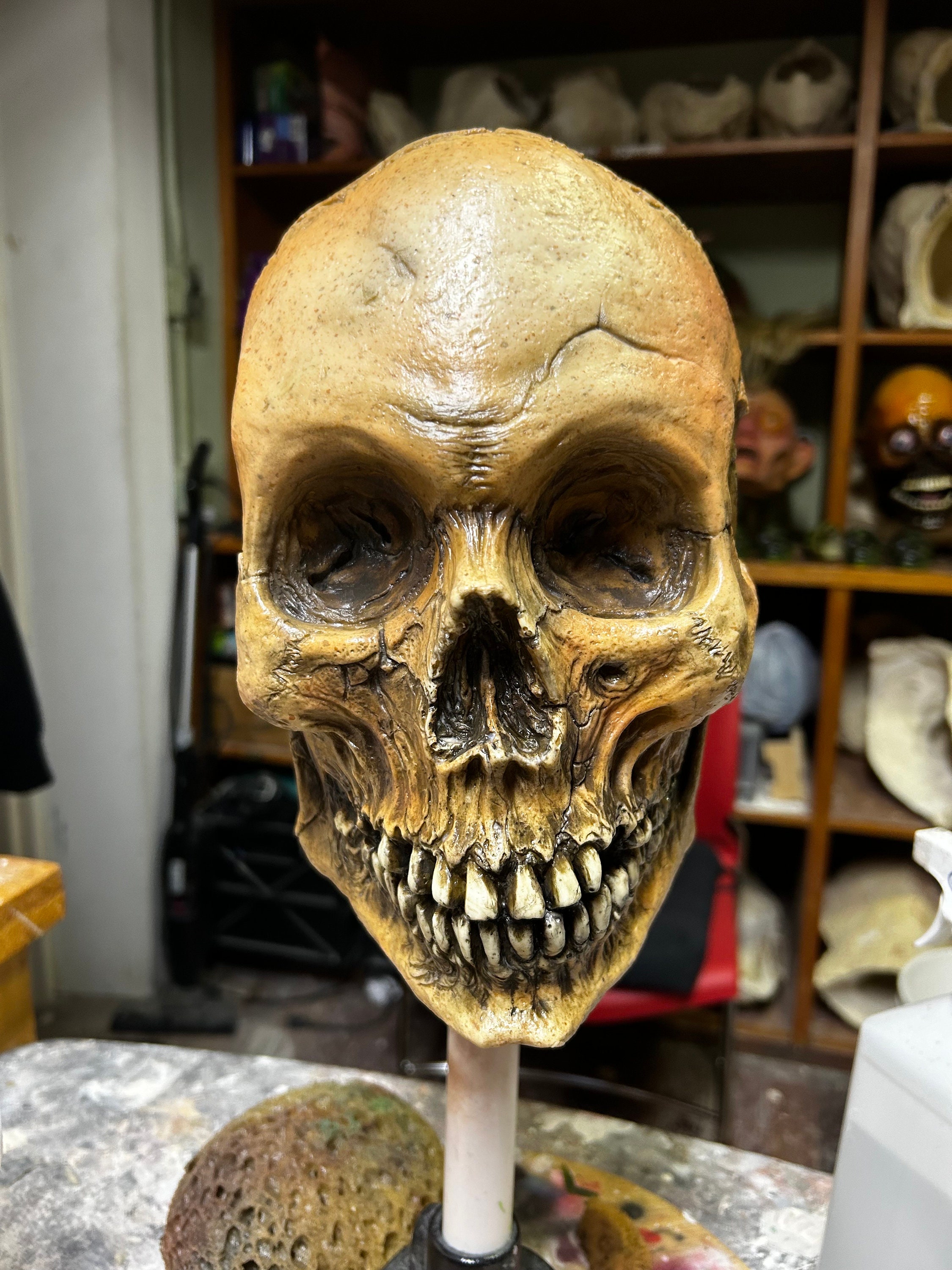 Shattered Skull - Etsy Denmark