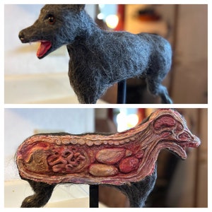 Puede incluir: Una escultura de perro gris y peludo con sus órganos internos expuestos. La escultura está hecha de fieltro y está montada en un soporte negro.