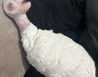 Eraserhead baby