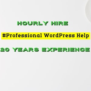 Hourly Professional WordPress Help