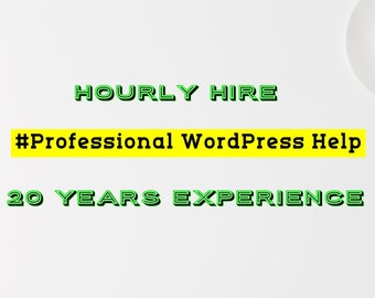 Hourly Professional WordPress Help