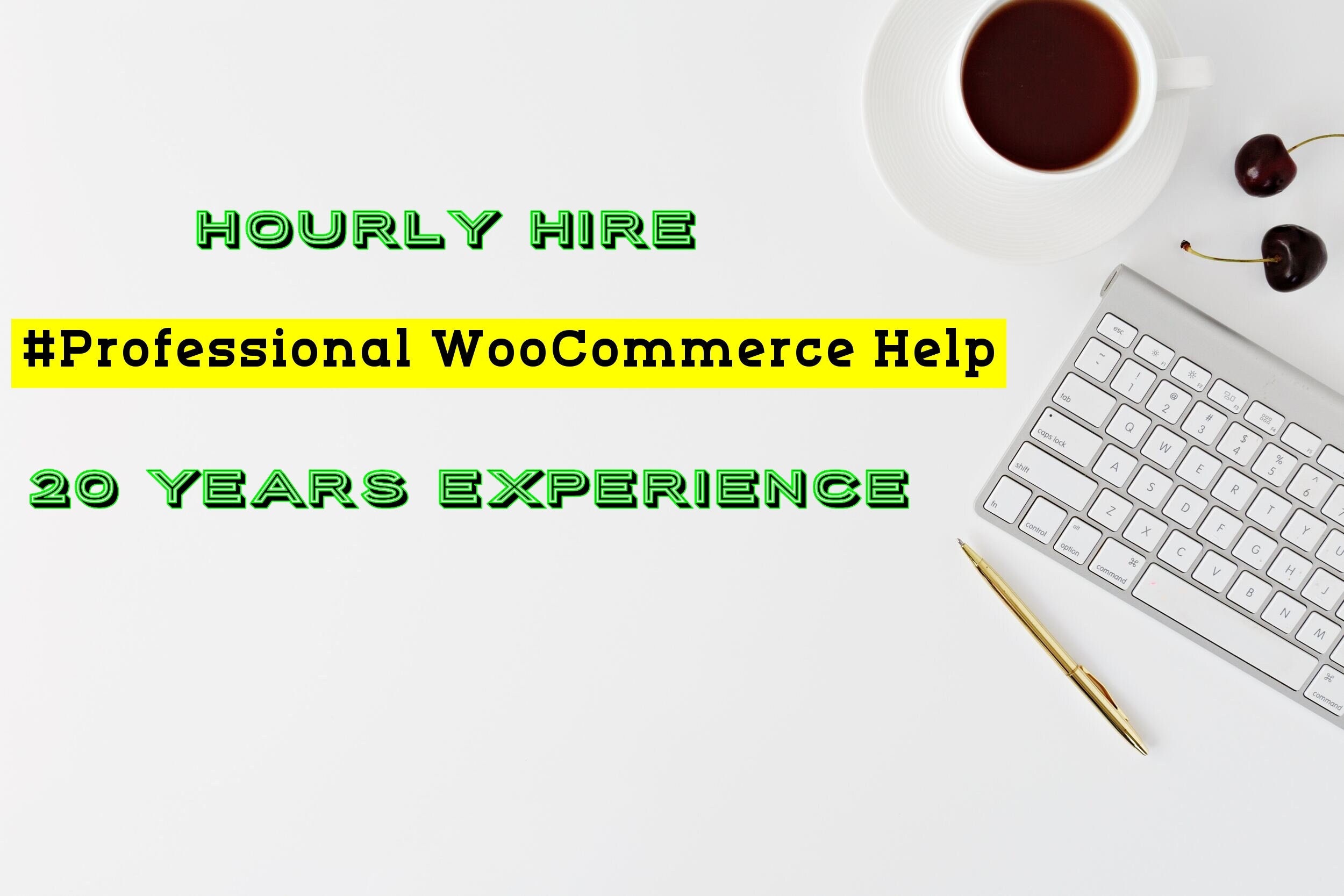 Hourly Professional WordPress Help