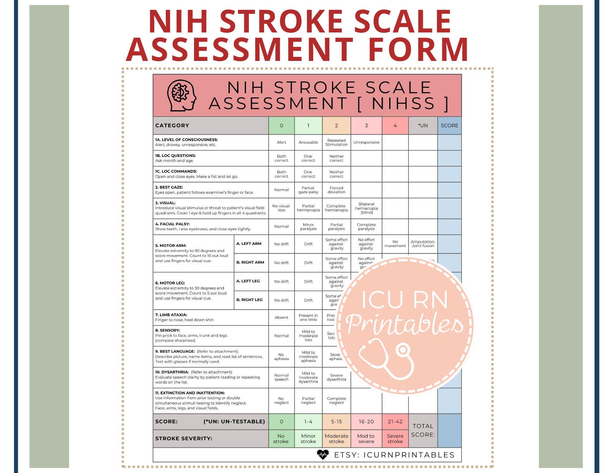 NIH Stroke Scale Assessment Form [ NIHSS ] | Printable PDF Download - Etsy