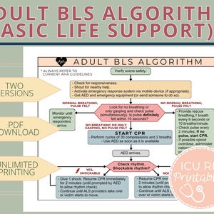 May include: A printable infographic illustrating the Adult Basic Life Support (BLS) algorithm. The flowchart includes steps for checking responsiveness, pulse, breathing, and starting CPR. It also includes instructions for using an AED and administering rescue breaths. The infographic is titled "Adult BLS Algorithm (Basic Life Support)" and includes the text "Always refer to current AHA guidelines".