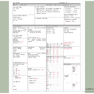 ICU Nurse Brain Report Sheet Printable PDF - Etsy
