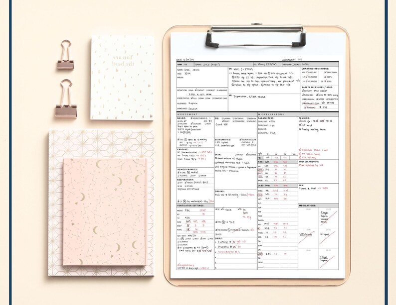 ICU Nurse Brain Report Sheet | Printable PDF Download - Etsy