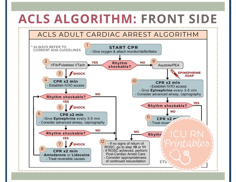 ACLS Adult Cardiac Arrest Algorithm Bundle: Reference Sheet & Badge ...