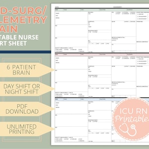 6 Patient Med-surg Nurse Brain Report Sheet  |  Printable PDF download
