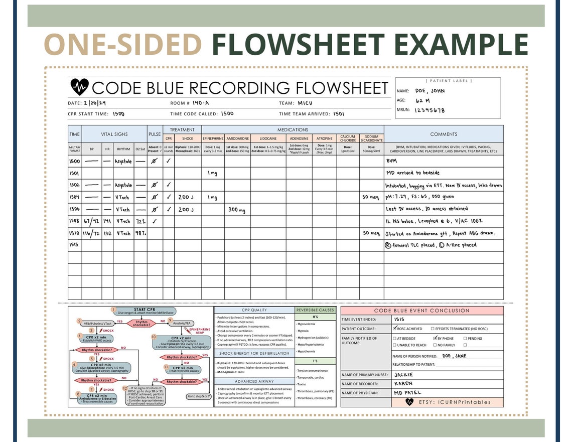 Code Blue Recording Flowsheet | Printable PDF Download - Etsy