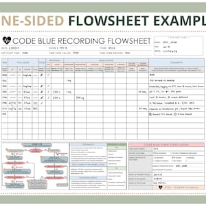 Code Blue Recording Flowsheet | Printable PDF Download - Etsy