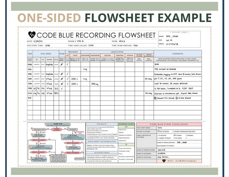 Code Blue Recording Flowsheet Printable PDF Download - Etsy