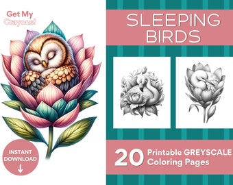 Sleeping Birds Coloring Pages, For Adults, Teens, and Kids 20 Digital Greyscale Pages Printable PDF PNG