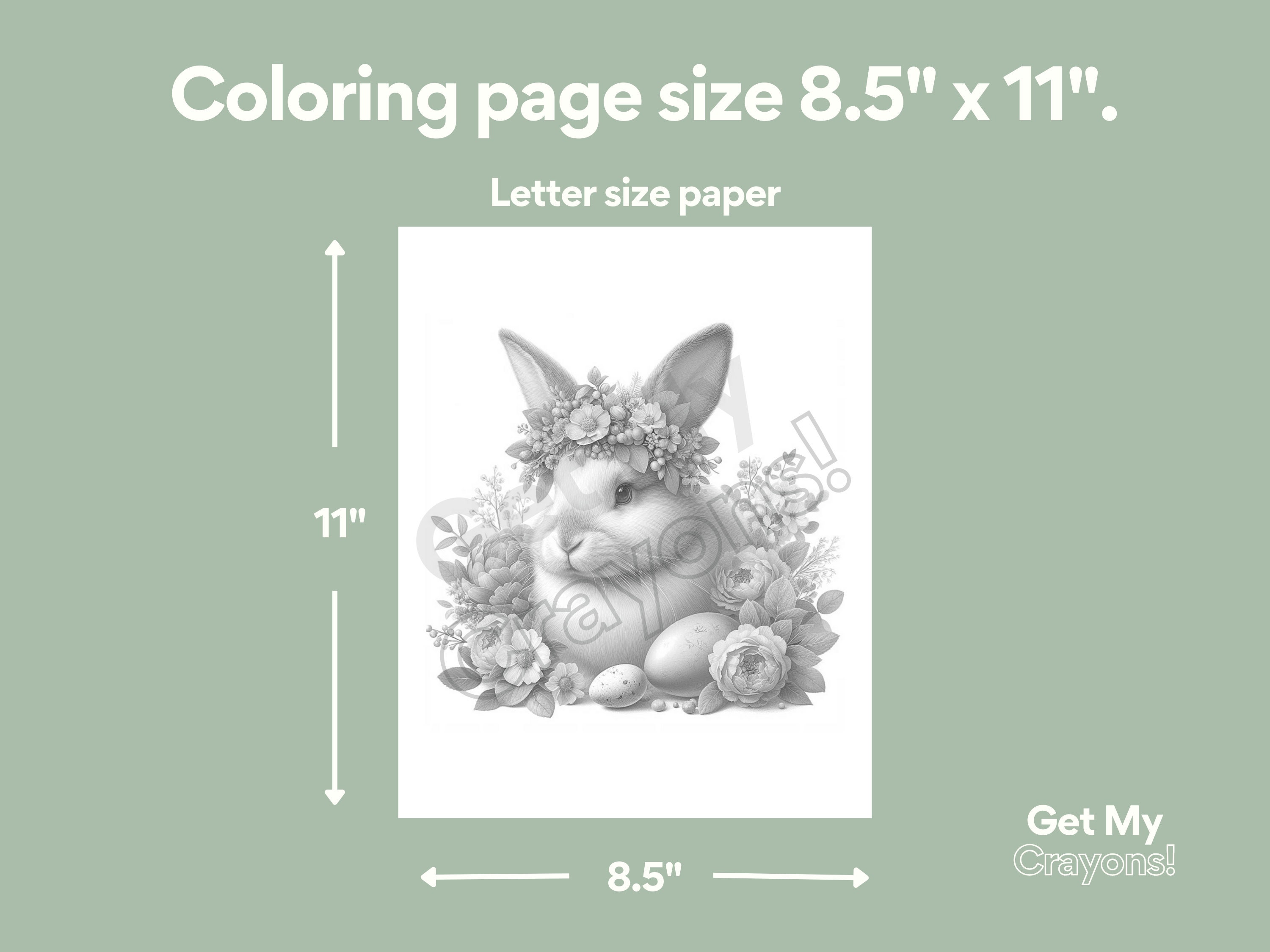 Adorable Easter Bunny Coloring Pages, for Adults, Teens, and Kids 20 ...
