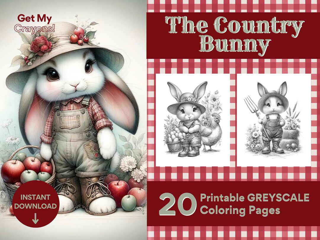 Country Rabbit Craft The Country Bunny Coloring Pages, for Adults, Teens, and Kids 20 ...