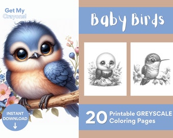 Adorable Baby Birds Coloring Pages For Adults 20 Greyscale Pages to Color Printable PDF PNG Instant Download Coloring Relax and Unwind