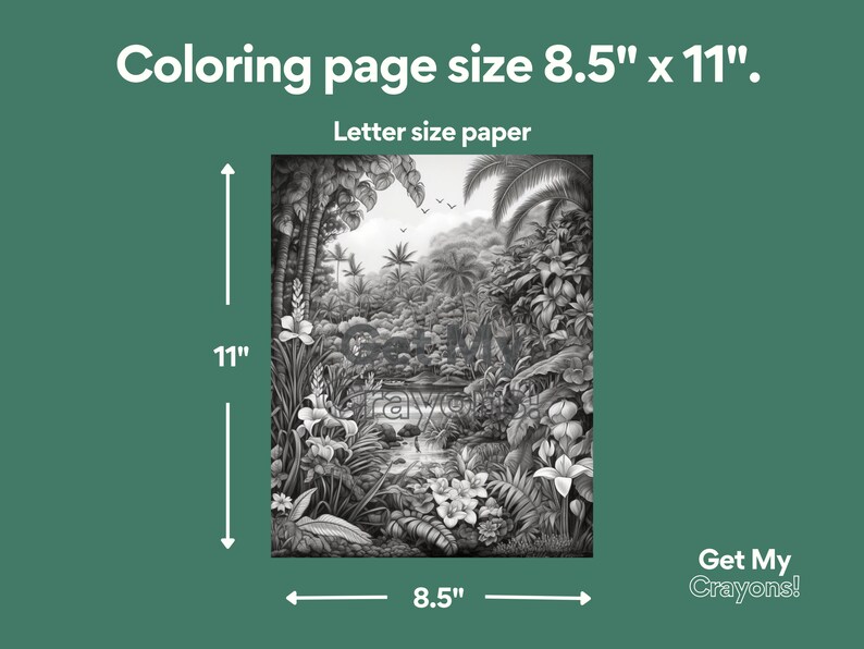 Tropical Landscape Coloring Pages for Adults Hawaiian Flowers - Etsy