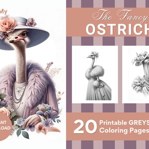 May include: A digital download of 20 printable colouring pages featuring a fancy ostrich wearing a hat and a fur coat. The text "The Fancy Ostrich" is at the top of the image. The text "20 Printable GREyscale Colouring Pages" is at the bottom of the image.