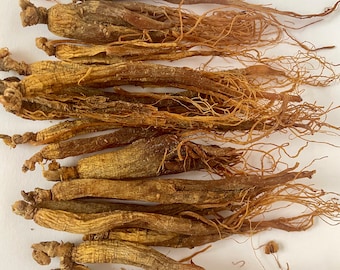 Organic Red Panax Ginseng Root: Vitality Supplement