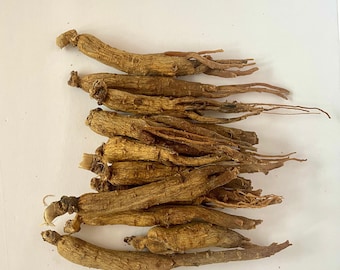 Whole Panax Ginseng 7 Years Old | Big and Thick Ginseng Root | Red Ginseng | | Root of Ginseng