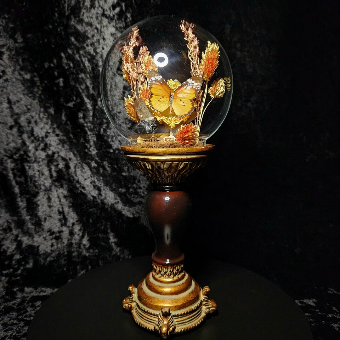 African Monarch Butterflies & Raw Crystals Terrarium Insect, Entomology