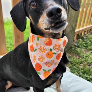 Citrus Smiles Bandana