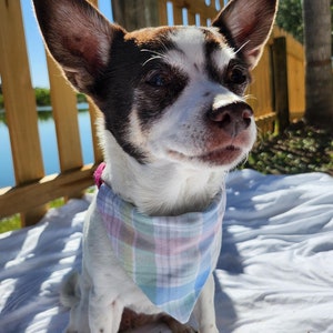 Springtime Plaidness Bandana
