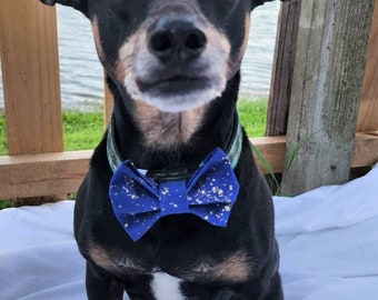 Starry Night Bow Tie