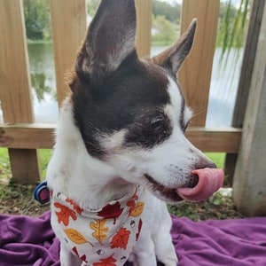 Lovely Leaves Bandana