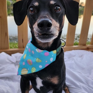 Eggcentric Bandana