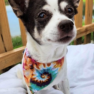 Wild Vibes Bandana