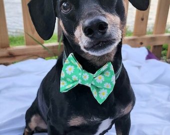 Daisy Days Bow Tie