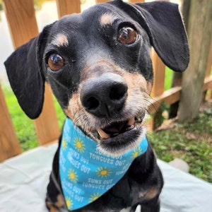 Sun's Out, Tongue's Out Bandana