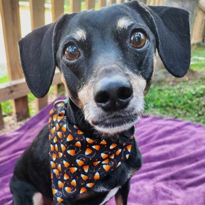 Least Favorite Candy Bandana