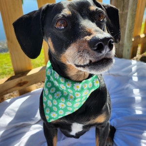 Daisy Days Bandana
