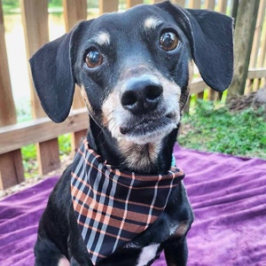 Fall Feelings Bandana