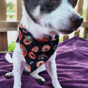 Pumpkin Spice and Everything Nice Bandana