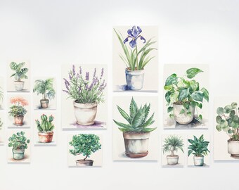 水彩植物セット、デジタルダウンロードアート