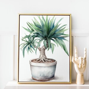 Watercolor Dragon Tree, Digital Download Botanical Art