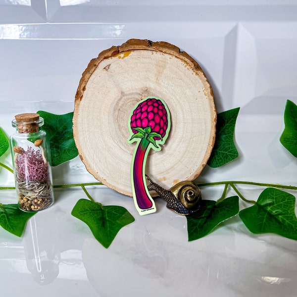 Raspberry Beret Mushroom | 3"x1.5" | Matte & Mirrored Sticker