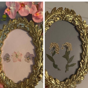 Gold Antique Old World Style Ornate Vintage Frame Pressed Flower Fine ...