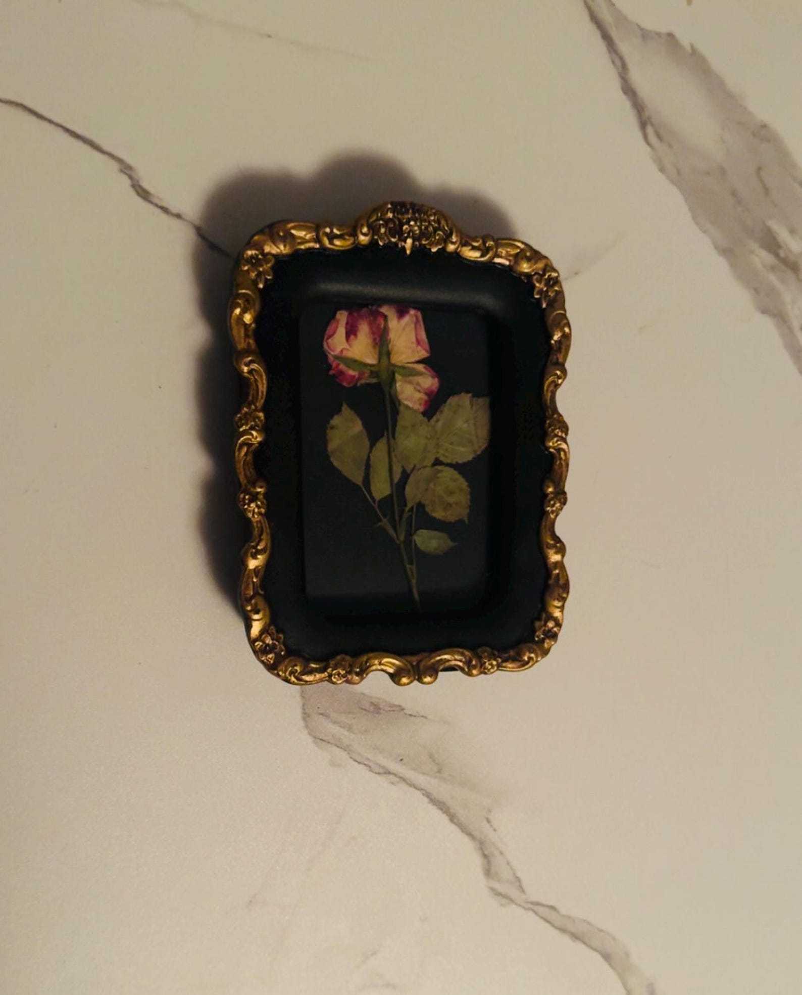 Antique Style Ornate Vintage Frame With Single Pressed Rose Pressed ...