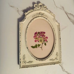 Antique Style Ornate Vintage Frame Pressed Flower Arrangement Art in ...