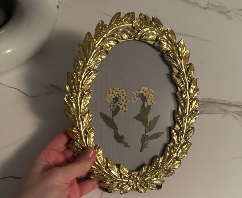 Gold Antique Old World Style Ornate Vintage Frame Pressed Flower Fine ...