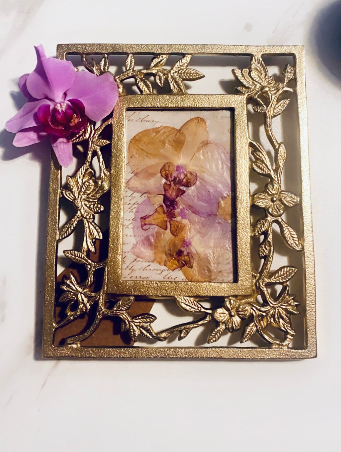 Bláthanna Gorm - Grianghraif d'Athair, image size:1162x1537