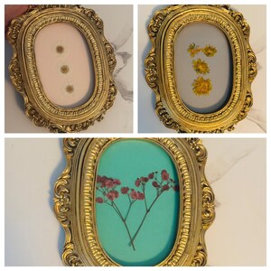 Gold Antique Style Ornate Vintage Frame Pressed Flowers With Multiple ...