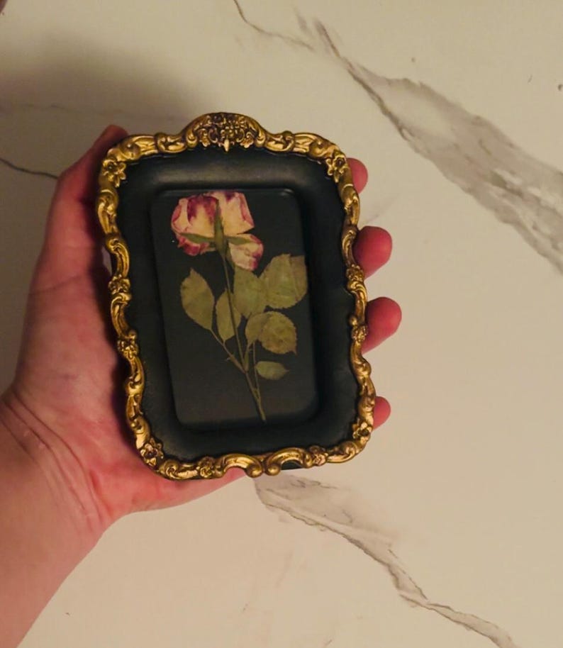 Antique Style Ornate Vintage Frame With Single Pressed Rose Pressed ...