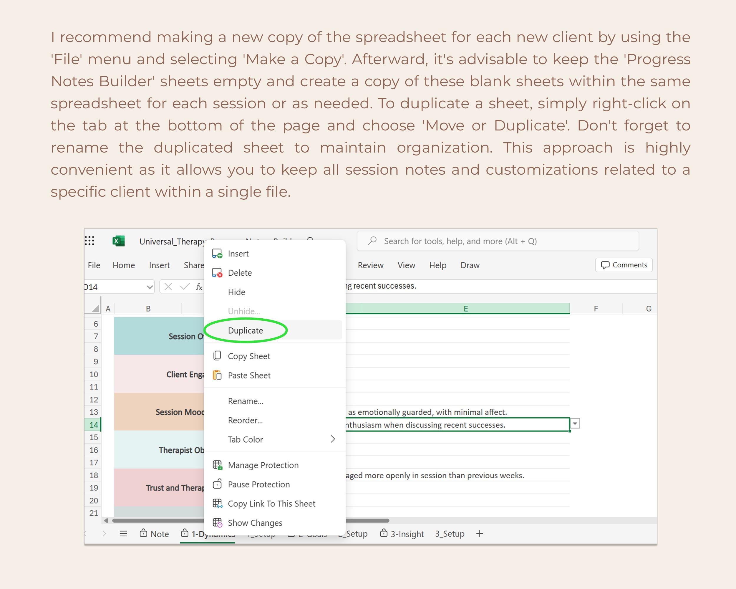 Therapy Progress Notes Template for Excel Counseling Session ...