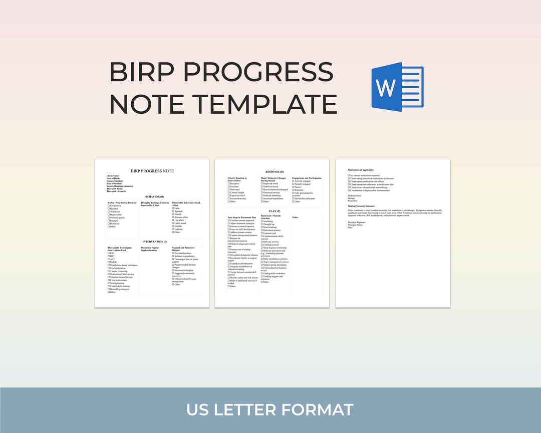 BIRP Progress Note Template for Therapists Counselors Editable Word ...