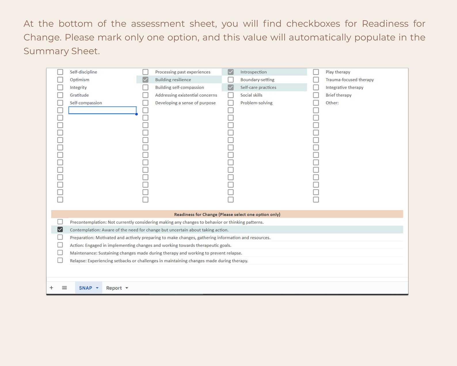 SNAP Assessment Template, Counseling Snap Assessment, Mental Health ...