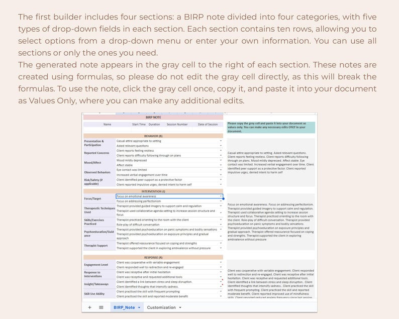BIRP Progress Note Generator Psychotherapy Counseling Notes Treatment ...